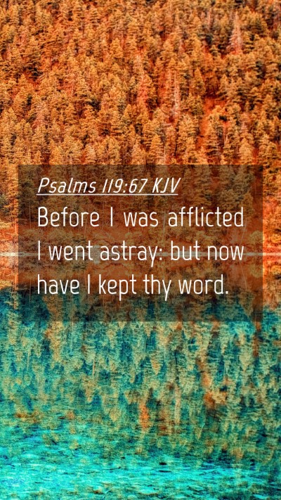 Picture 04 - Psalms 119:67 KJV Mobile Phone Wallpaper - Before I was afflicted I went astray: but now - Mobile Bible Verse Wallpaper