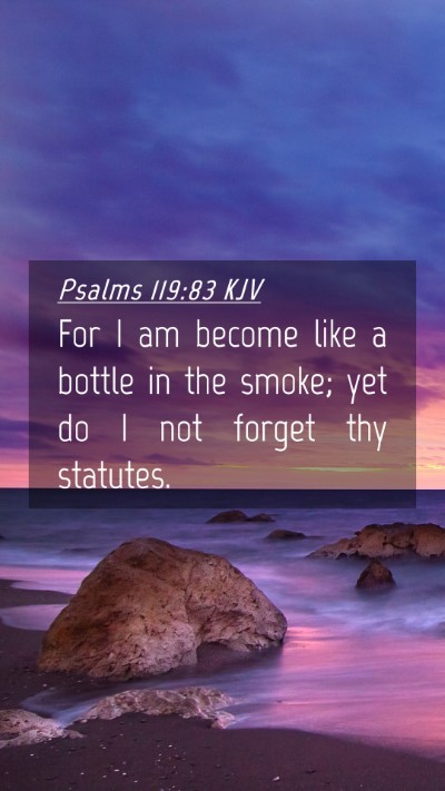 Picture 04 - Psalms 119:83 KJV Mobile Phone Wallpaper - For I am become like a bottle in the smoke; yet - Mobile Bible Verse Wallpaper