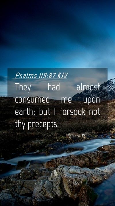 Picture 04 - Psalms 119:87 KJV Mobile Phone Wallpaper - They had almost consumed me upon earth; but I - Mobile Bible Verse Wallpaper
