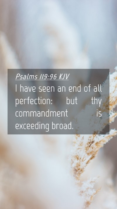 Picture 04 - Psalms 119:96 KJV Mobile Phone Wallpaper - I have seen an end of all perfection: but thy - Mobile Bible Verse Wallpaper