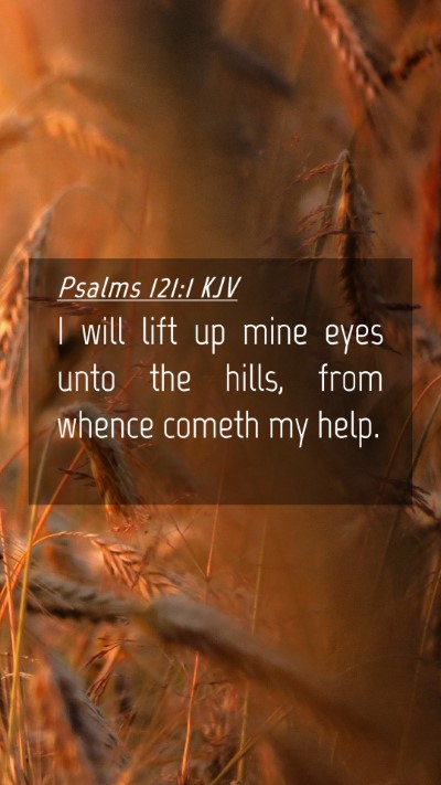 Picture 04 - Psalms 121:1 KJV Mobile Phone Wallpaper - I will lift up mine eyes unto the hills, from - Mobile Bible Verse Wallpaper