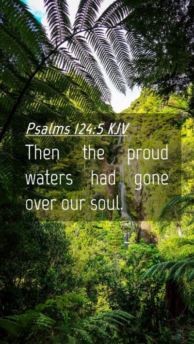 Picture 04 - Psalms 124:5 KJV Mobile Phone Wallpaper - Then the proud waters had gone over our - Mobile Bible Verse Wallpaper