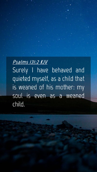 Picture 04 - Psalms 131:2 KJV Mobile Phone Wallpaper - Surely I have behaved and quieted myself, as a - Mobile Bible Verse Wallpaper
