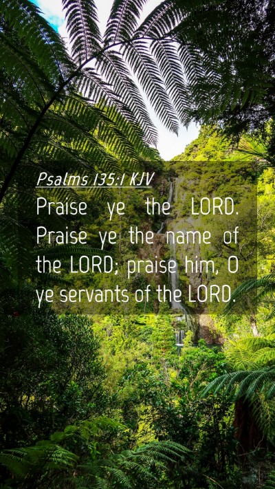 Picture 04 - Psalms 135:1 KJV Mobile Phone Wallpaper - Praise ye the LORD. Praise ye the name of the - Mobile Bible Verse Wallpaper