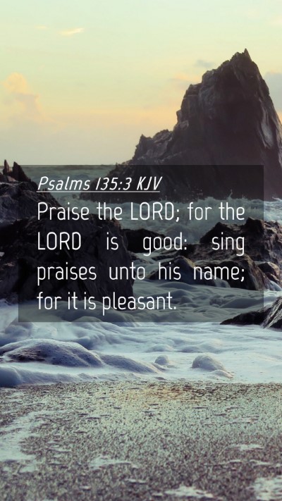 Picture 04 - Psalms 135:3 KJV Mobile Phone Wallpaper - Praise the LORD; for the LORD is good: sing - Mobile Bible Verse Wallpaper