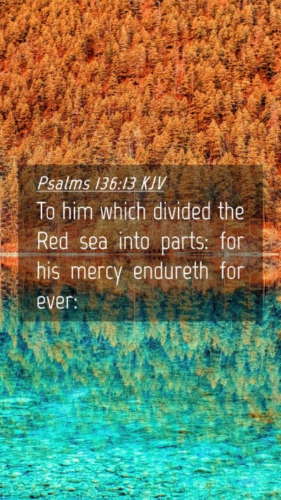 Picture 04 - Psalms 136:13 KJV Mobile Phone Wallpaper - To him which divided the Red sea into parts: for - Mobile Bible Verse Wallpaper