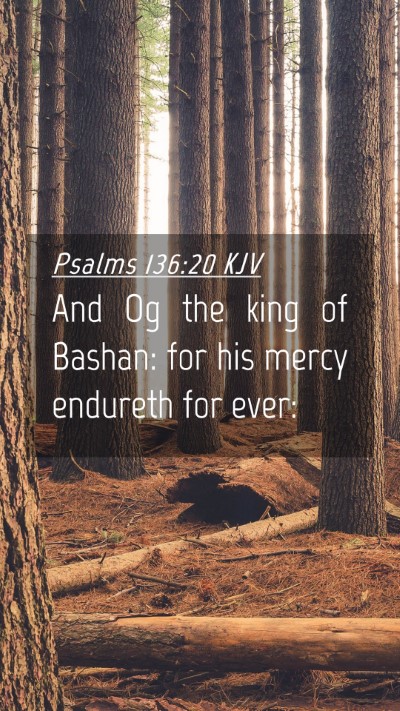 Picture 04 - Psalms 136:20 KJV Mobile Phone Wallpaper - And Og the king of Bashan: for his mercy endureth - Mobile Bible Verse Wallpaper