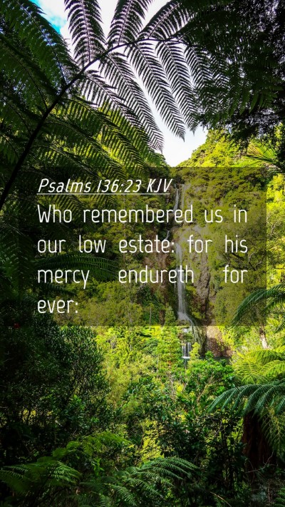 Picture 04 - Psalms 136:23 KJV Mobile Phone Wallpaper - Who remembered us in our low estate: for his - Mobile Bible Verse Wallpaper