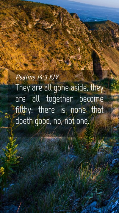 Picture 04 - Psalms 14:3 KJV Mobile Phone Wallpaper - They are all gone aside, they are all together - Mobile Bible Verse Wallpaper