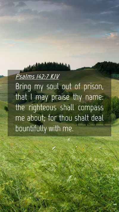 Picture 04 - Psalms 142:7 KJV Mobile Phone Wallpaper - Bring my soul out of prison, that I may praise - Mobile Bible Verse Wallpaper