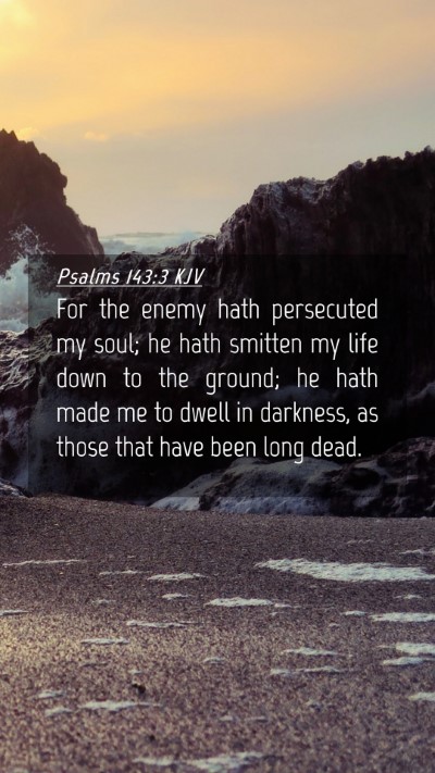 Picture 04 - Psalms 143:3 KJV Mobile Phone Wallpaper - For the enemy hath persecuted my soul; he hath - Mobile Bible Verse Wallpaper