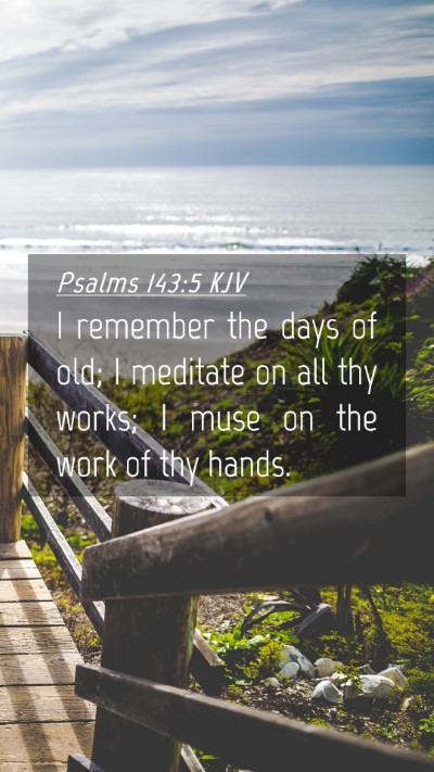 Picture 04 - Psalms 143:5 KJV Mobile Phone Wallpaper - I remember the days of old; I meditate on all thy - Mobile Bible Verse Wallpaper