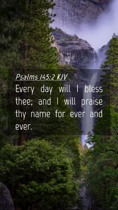 Picture 04 - Psalms 145:2 KJV Mobile Phone Wallpaper - Every day will I bless thee; and I will praise - Mobile Bible Verse Wallpaper