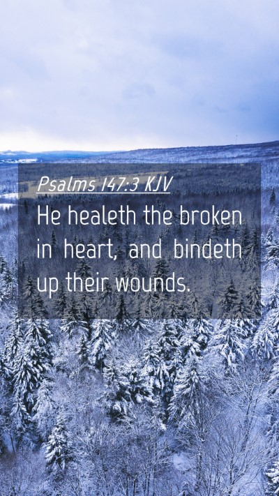Picture 04 - Psalms 147:3 KJV Mobile Phone Wallpaper - He healeth the broken in heart, and bindeth up - Mobile Bible Verse Wallpaper