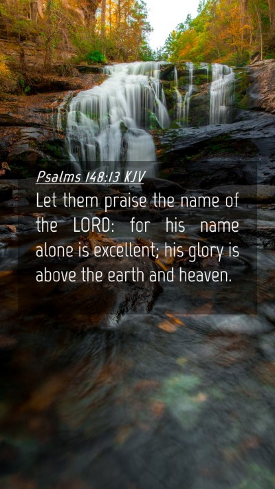 Picture 04 - Psalms 148:13 KJV Mobile Phone Wallpaper - Let them praise the name of the LORD: for his - Mobile Bible Verse Wallpaper