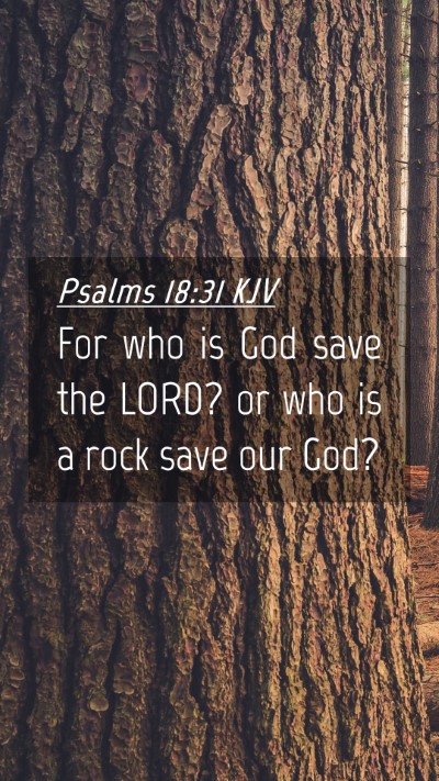 Picture 04 - Psalms 18:31 KJV Mobile Phone Wallpaper - For who is God save the LORD? or who is a rock - Mobile Bible Verse Wallpaper