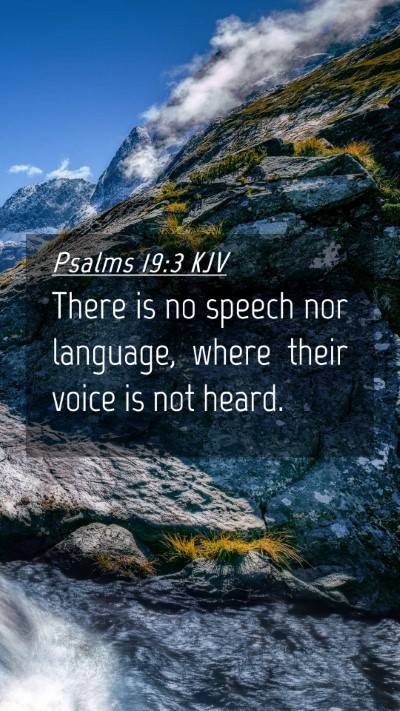 Picture 04 - Psalms 19:3 KJV Mobile Phone Wallpaper - There is no speech nor language, where their - Mobile Bible Verse Wallpaper