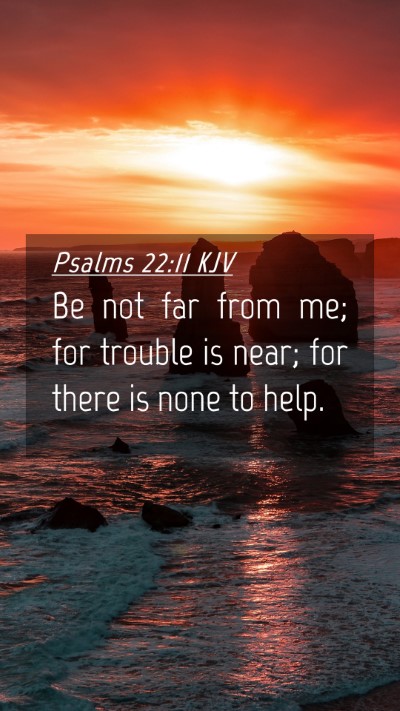 Picture 04 - Psalms 22:11 KJV Mobile Phone Wallpaper - Be not far from me; for trouble is near; for - Mobile Bible Verse Wallpaper