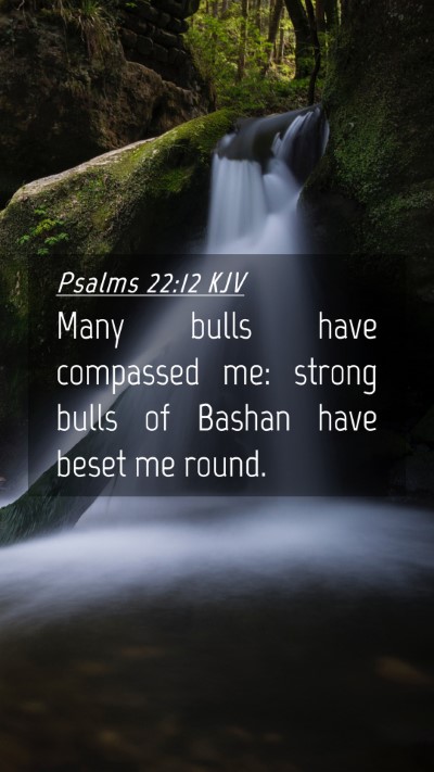 Picture 04 - Psalms 22:12 KJV Mobile Phone Wallpaper - Many bulls have compassed me: strong bulls of - Mobile Bible Verse Wallpaper