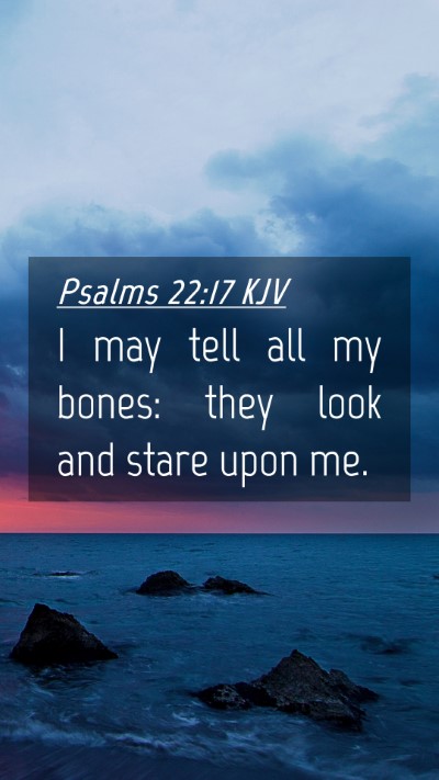 Picture 04 - Psalms 22:17 KJV Mobile Phone Wallpaper - I may tell all my bones: they look and stare upon - Mobile Bible Verse Wallpaper