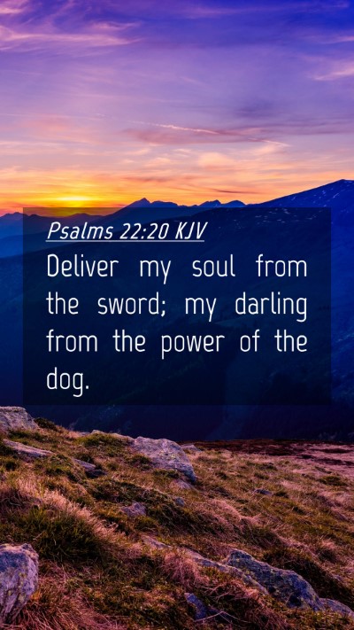 Picture 04 - Psalms 22:20 KJV Mobile Phone Wallpaper - Deliver my soul from the sword; my darling from - Mobile Bible Verse Wallpaper