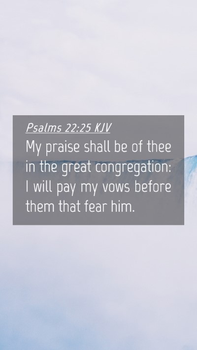 Picture 04 - Psalms 22:25 KJV Mobile Phone Wallpaper - My praise shall be of thee in the great - Mobile Bible Verse Wallpaper