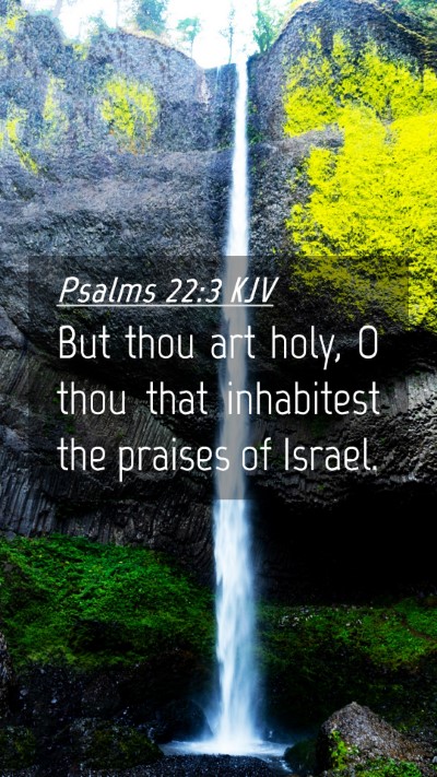 Picture 04 - Psalms 22:3 KJV Mobile Phone Wallpaper - But thou art holy, O thou that inhabitest the - Mobile Bible Verse Wallpaper