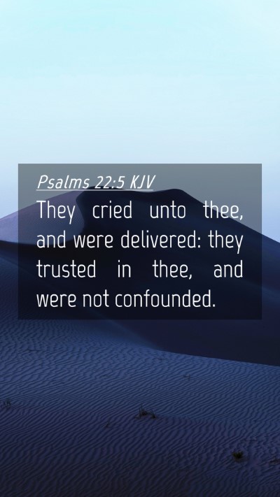 Picture 04 - Psalms 22:5 KJV Mobile Phone Wallpaper - They cried unto thee, and were delivered: they - Mobile Bible Verse Wallpaper