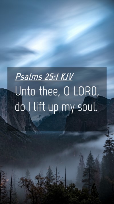 Picture 04 - Psalms 25:1 KJV Mobile Phone Wallpaper - Unto thee, O LORD, do I lift up my - Mobile Bible Verse Wallpaper