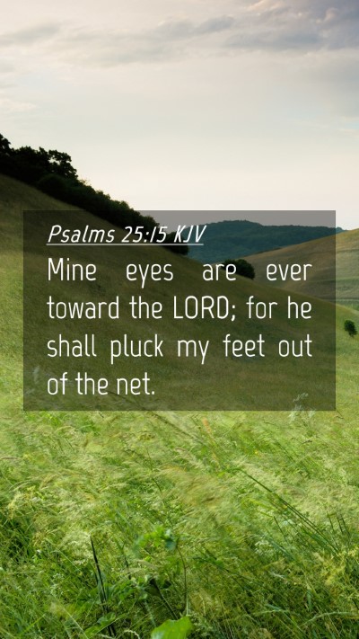 Picture 04 - Psalms 25:15 KJV Mobile Phone Wallpaper - Mine eyes are ever toward the LORD; for he shall - Mobile Bible Verse Wallpaper