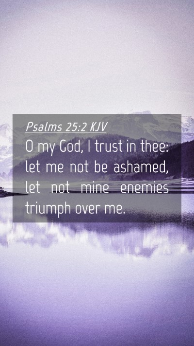 Picture 04 - Psalms 25:2 KJV Mobile Phone Wallpaper - O my God, I trust in thee: let me not be ashamed, - Mobile Bible Verse Wallpaper