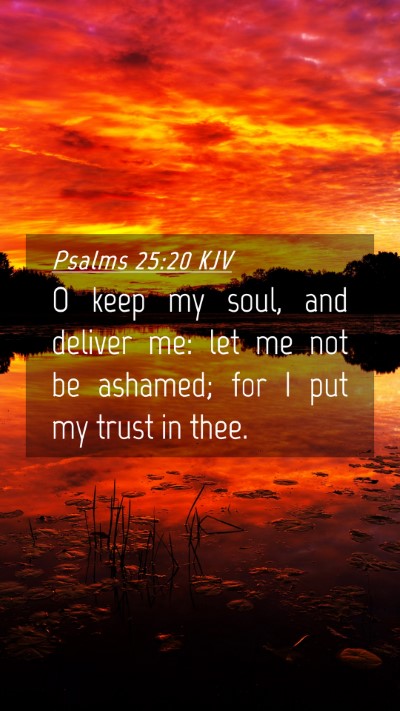 Picture 04 - Psalms 25:20 KJV Mobile Phone Wallpaper - O keep my soul, and deliver me: let me not be - Mobile Bible Verse Wallpaper