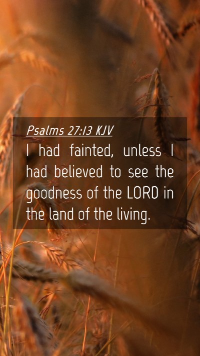 Picture 04 - Psalms 27:13 KJV Mobile Phone Wallpaper - I had fainted, unless I had believed to see the - Mobile Bible Verse Wallpaper
