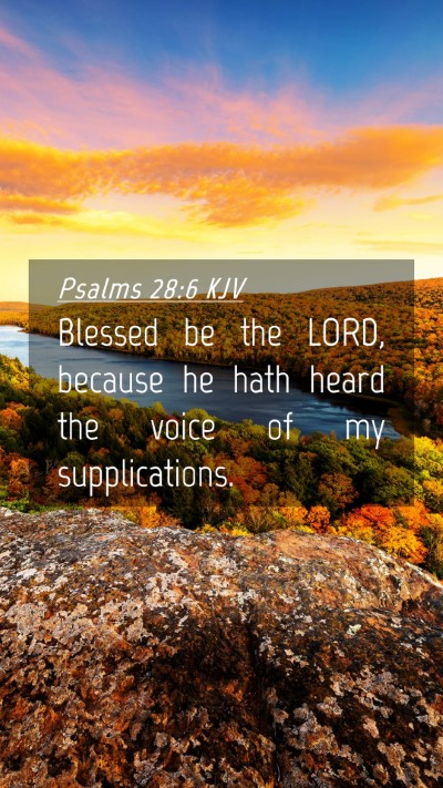 Picture 04 - Psalms 28:6 KJV Mobile Phone Wallpaper - Blessed be the LORD, because he hath heard the - Mobile Bible Verse Wallpaper