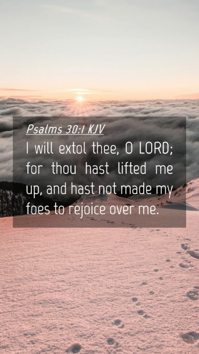 Picture 04 - Psalms 30:1 KJV Mobile Phone Wallpaper - I will extol thee, O LORD; for thou hast lifted - Mobile Bible Verse Wallpaper