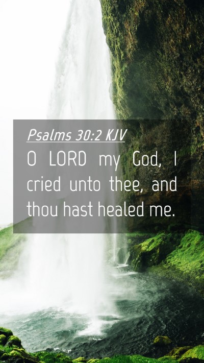 Picture 04 - Psalms 30:2 KJV Mobile Phone Wallpaper - O LORD my God, I cried unto thee, and thou hast - Mobile Bible Verse Wallpaper