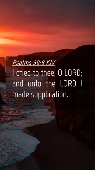Picture 04 - Psalms 30:8 KJV Mobile Phone Wallpaper - I cried to thee, O LORD; and unto the LORD I made - Mobile Bible Verse Wallpaper