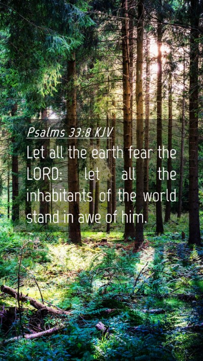 Picture 04 - Psalms 33:8 KJV Mobile Phone Wallpaper - Let all the earth fear the LORD: let all the - Mobile Bible Verse Wallpaper