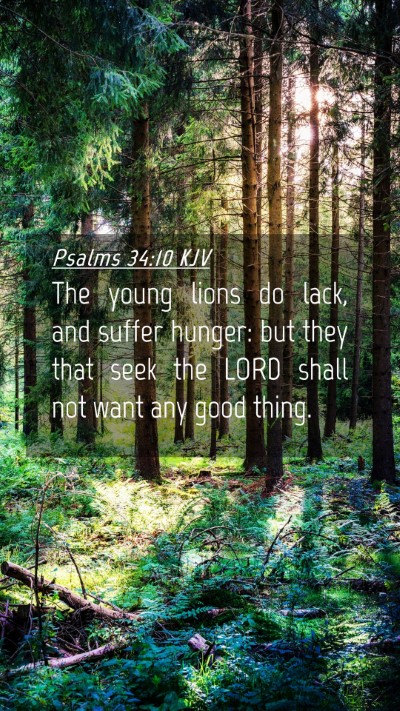 Picture 04 - Psalms 34:10 KJV Mobile Phone Wallpaper - The young lions do lack, and suffer hunger: but - Mobile Bible Verse Wallpaper