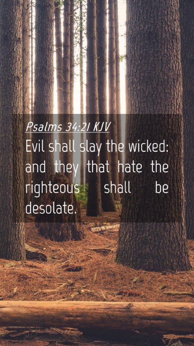 Picture 04 - Psalms 34:21 KJV Mobile Phone Wallpaper - Evil shall slay the wicked: and they that hate - Mobile Bible Verse Wallpaper