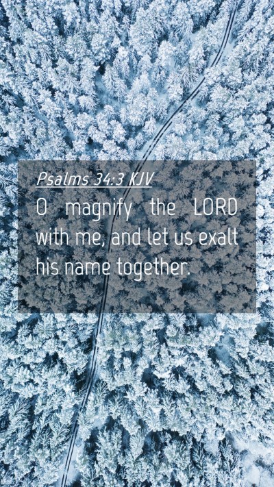 Picture 04 - Psalms 34:3 KJV Mobile Phone Wallpaper - O magnify the LORD with me, and let us exalt his - Mobile Bible Verse Wallpaper