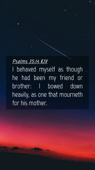 Picture 04 - Psalms 35:14 KJV Mobile Phone Wallpaper - I behaved myself as though he had been my friend - Mobile Bible Verse Wallpaper