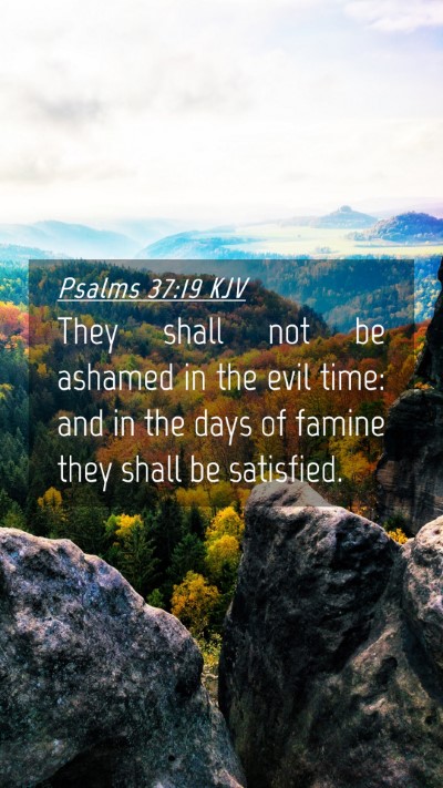 Picture 04 - Psalms 37:19 KJV Mobile Phone Wallpaper - They shall not be ashamed in the evil time: and - Mobile Bible Verse Wallpaper