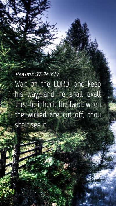 Picture 04 - Psalms 37:34 KJV Mobile Phone Wallpaper - Wait on the LORD, and keep his way, and he shall - Mobile Bible Verse Wallpaper