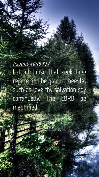 Picture 04 - Psalms 40:16 KJV Mobile Phone Wallpaper - Let all those that seek thee rejoice and be glad - Mobile Bible Verse Wallpaper