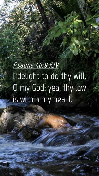 Picture 04 - Psalms 40:8 KJV Mobile Phone Wallpaper - I delight to do thy will, O my God: yea, thy law - Mobile Bible Verse Wallpaper