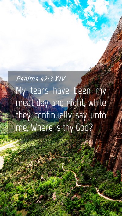 Picture 04 - Psalms 42:3 KJV Mobile Phone Wallpaper - My tears have been my meat day and night, while - Mobile Bible Verse Wallpaper
