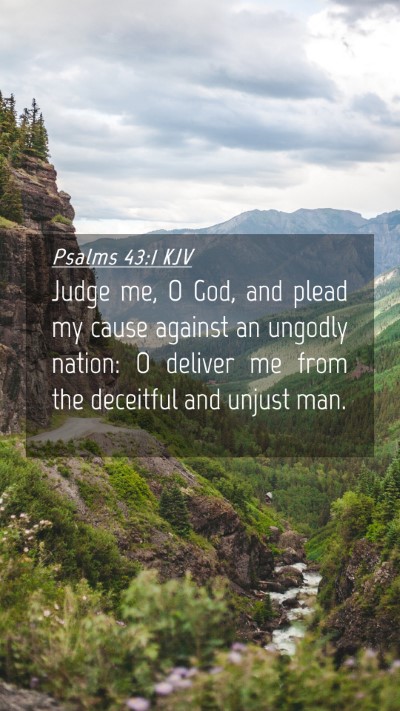 Picture 04 - Psalms 43:1 KJV Mobile Phone Wallpaper - Judge me, O God, and plead my cause against an - Mobile Bible Verse Wallpaper