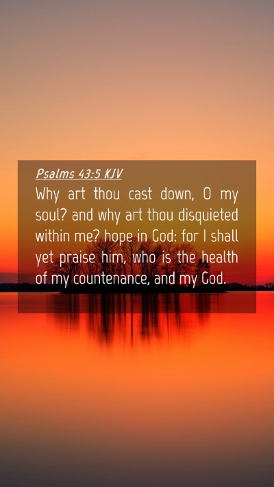 Picture 04 - Psalms 43:5 KJV Mobile Phone Wallpaper - Why art thou cast down, O my soul? and why art - Mobile Bible Verse Wallpaper