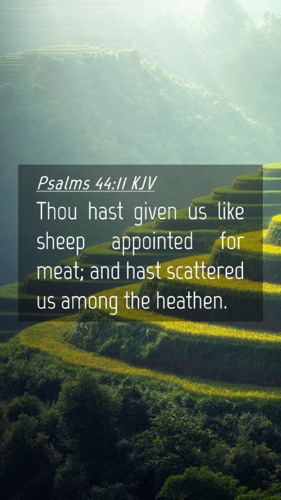 Picture 04 - Psalms 44:11 KJV Mobile Phone Wallpaper - Thou hast given us like sheep appointed for meat; - Mobile Bible Verse Wallpaper